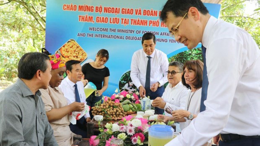 Hung Yen longan promoted among int'l diplomatic corps, industry associations